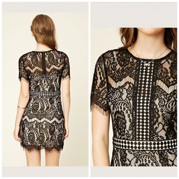 ✨HP 12-23-16✨Contrast Eyelash Lace Dress✨ - Picture 3 of 4